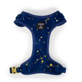 Sapphire Stars Velvet Harness