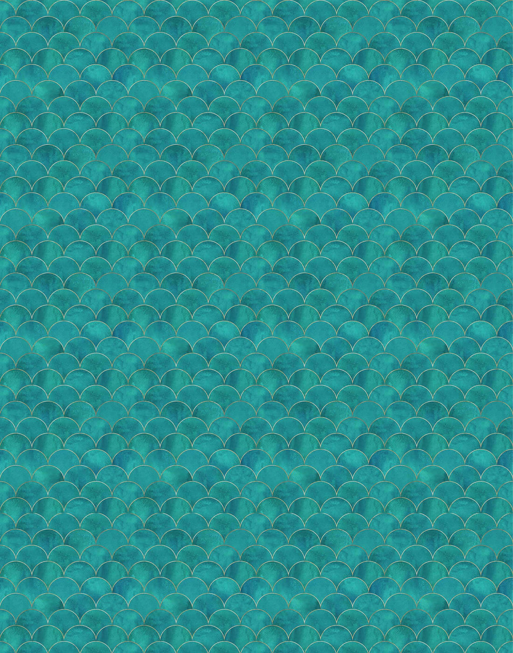 Scallop