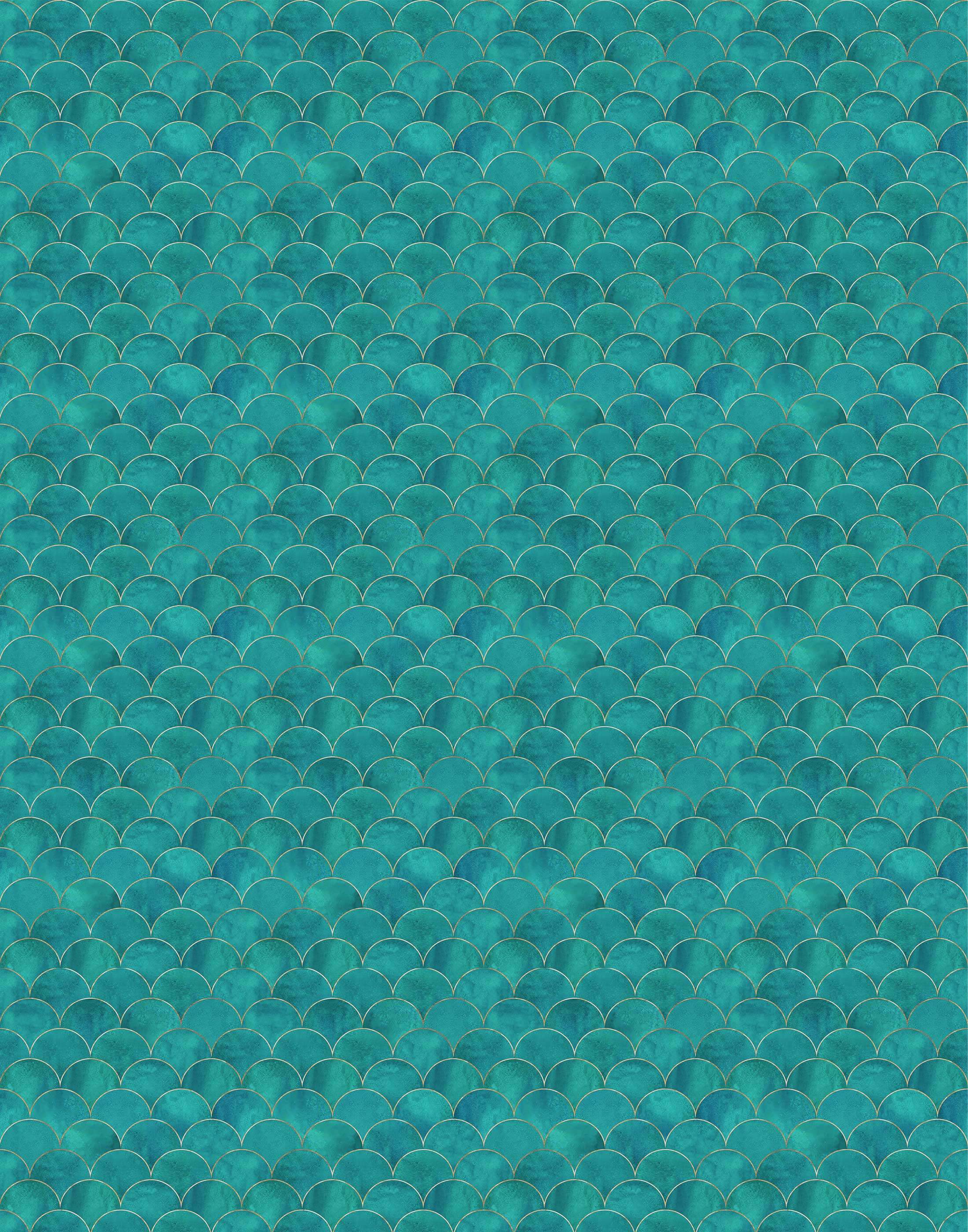 Scallop