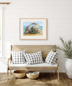 Happy Days Seal - Cornish sealife - Giclée Watercolour Print
