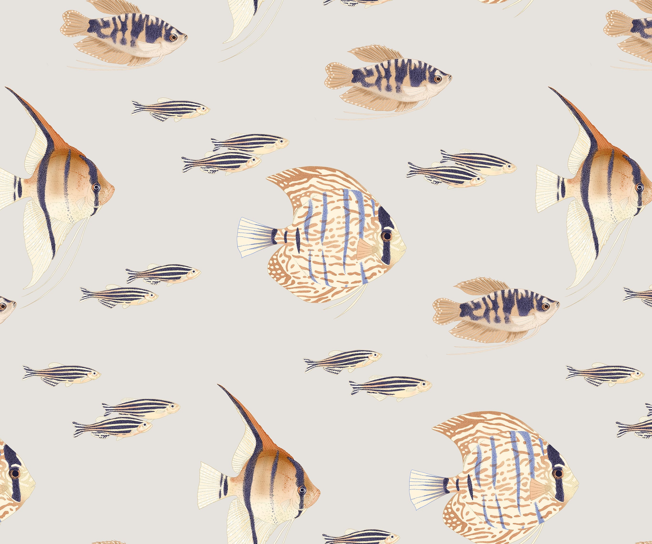 Shoal