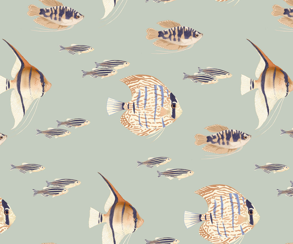 Shoal