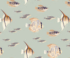 Shoal