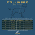 The Tod Step-In Harness