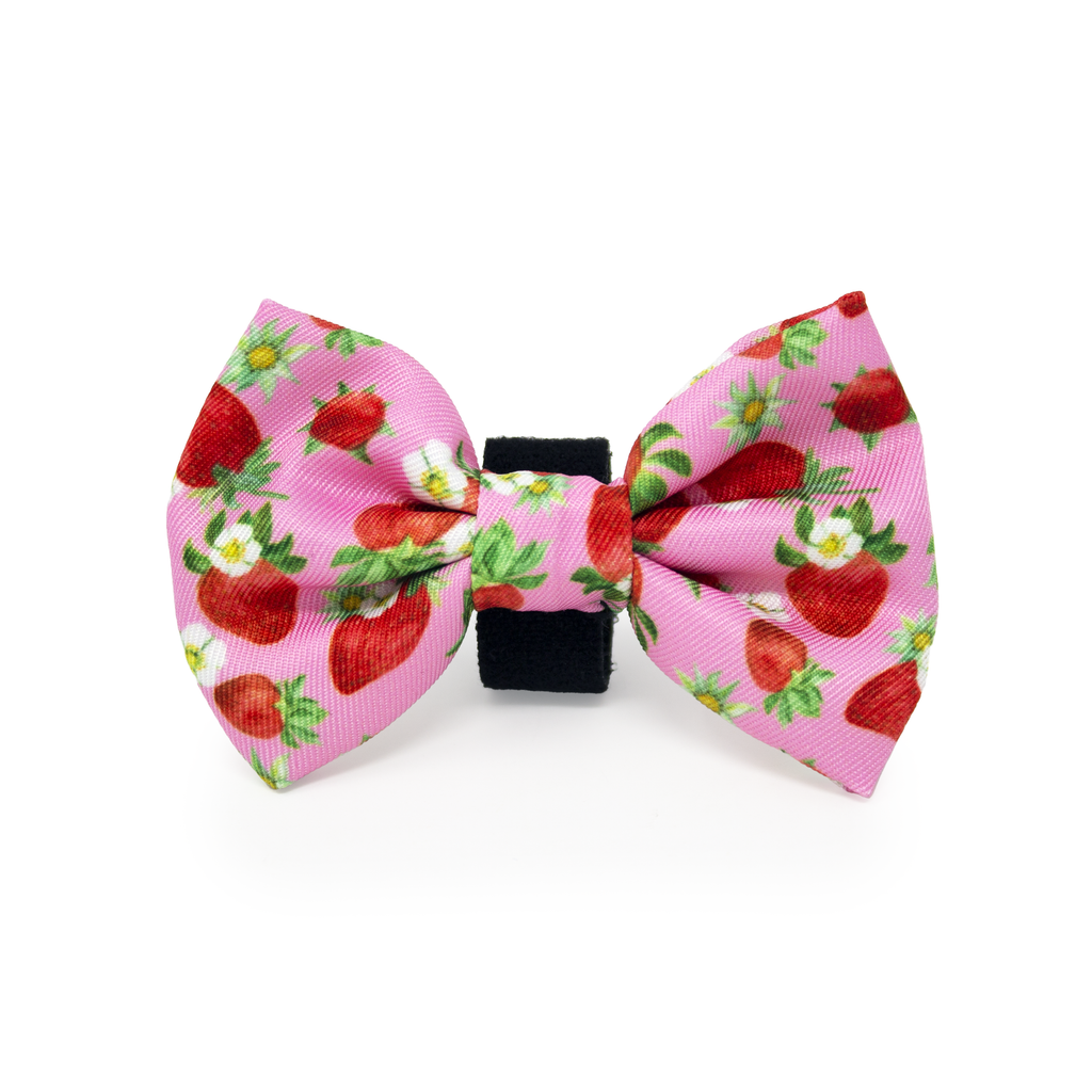Strawberry Patch Design Dog Collar