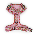 Strawberry Patch Design Dog Collar