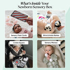 The Newborn Sensory Box (0-6+ Months)
