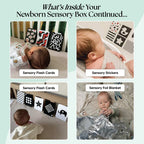 The Newborn Sensory Box (0-6+ Months)