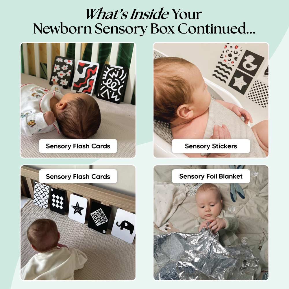 The Newborn Sensory Box (0-6+ Months)
