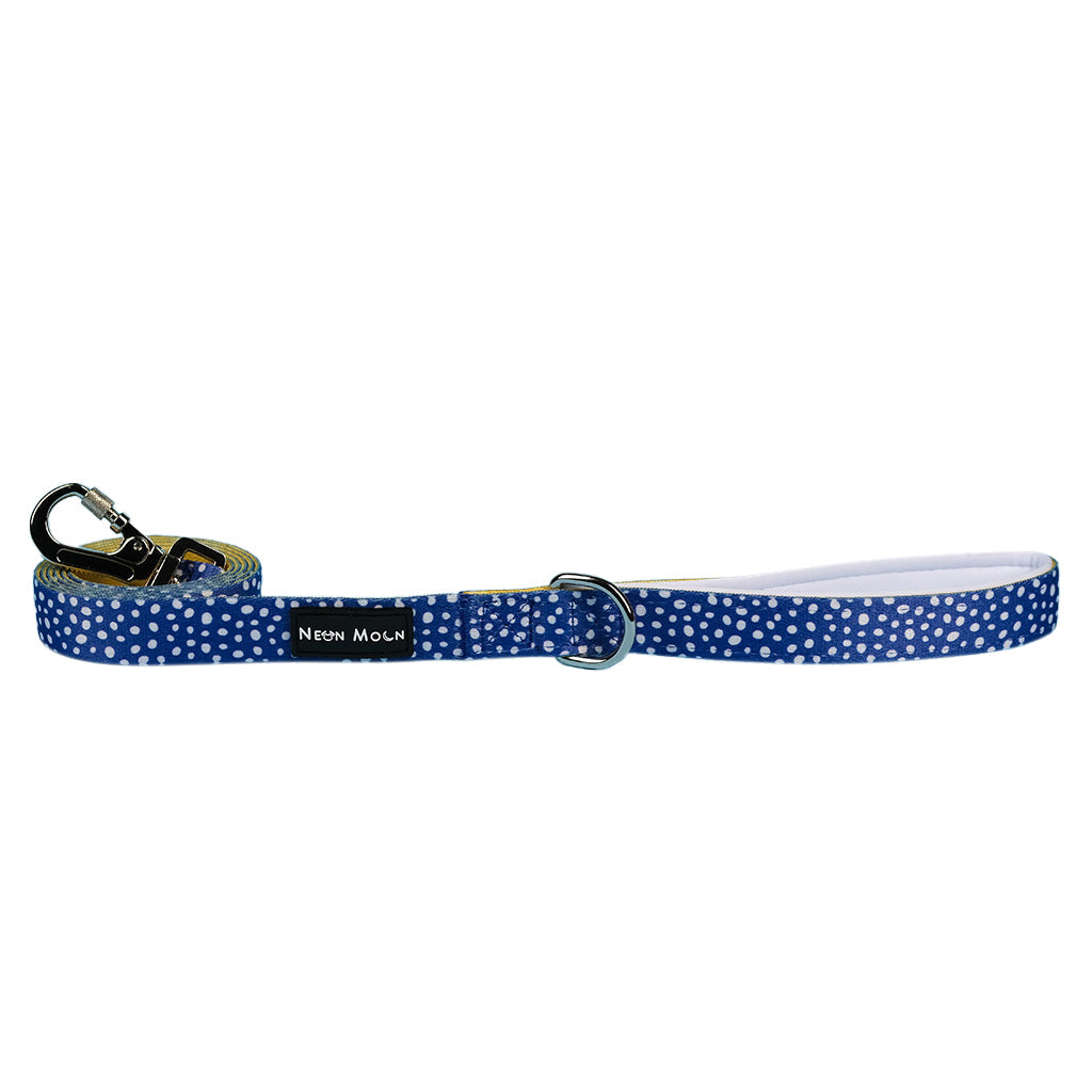The Minnie Lead