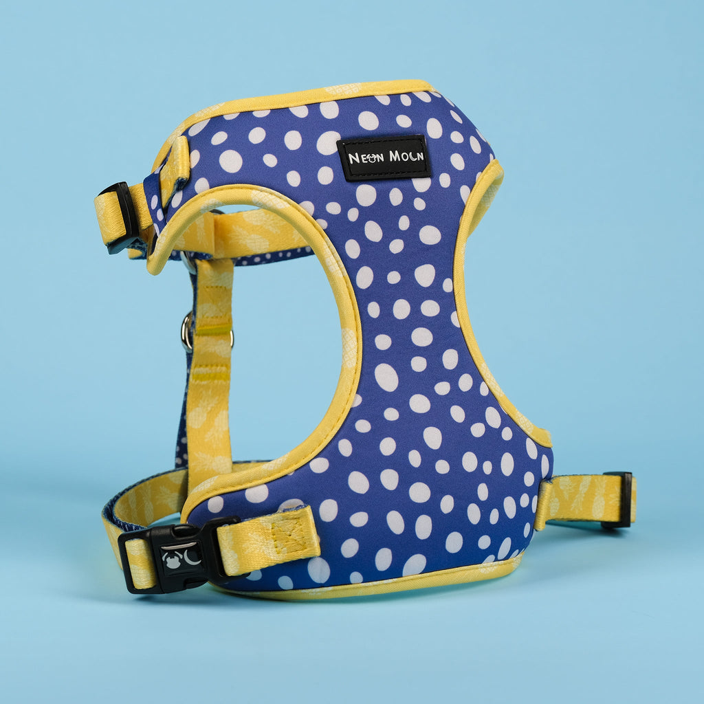 The Minnie Mesh Harness