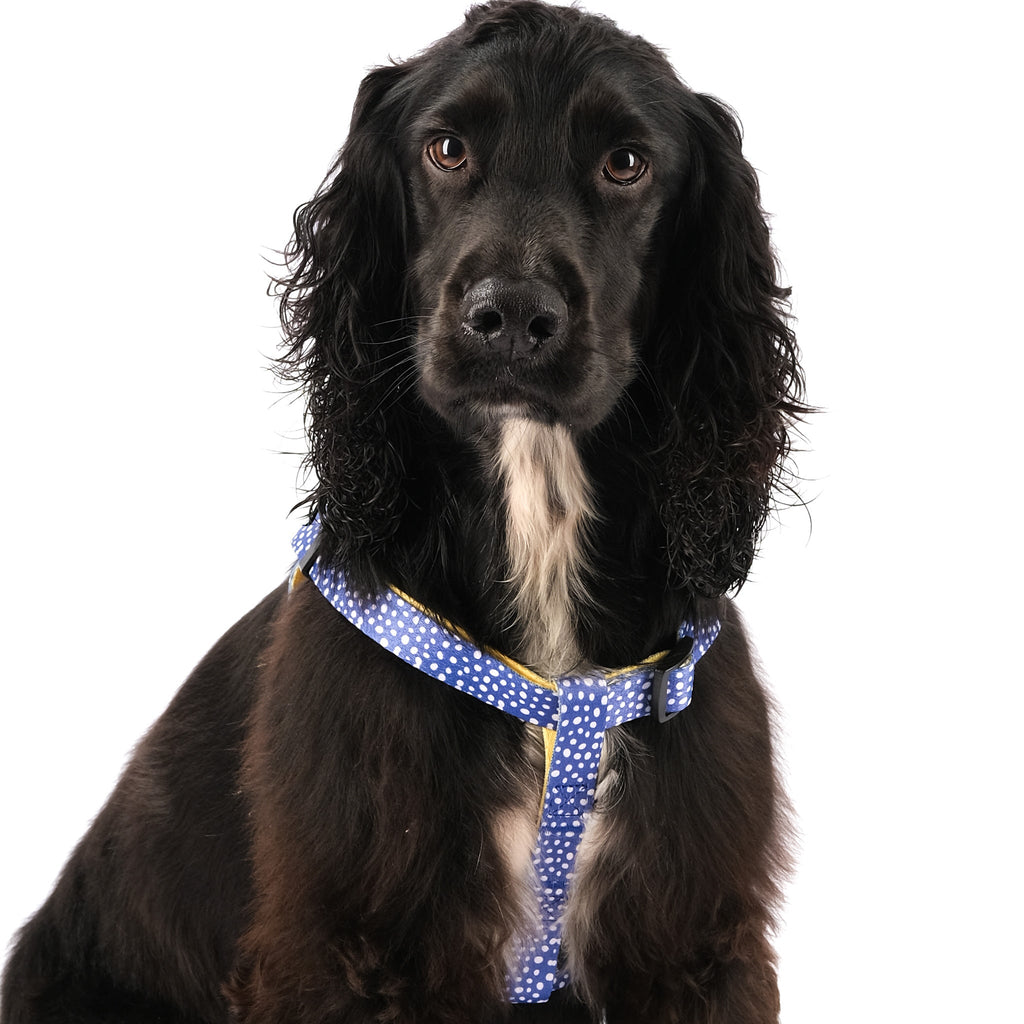 The Minnie Step-In Harness