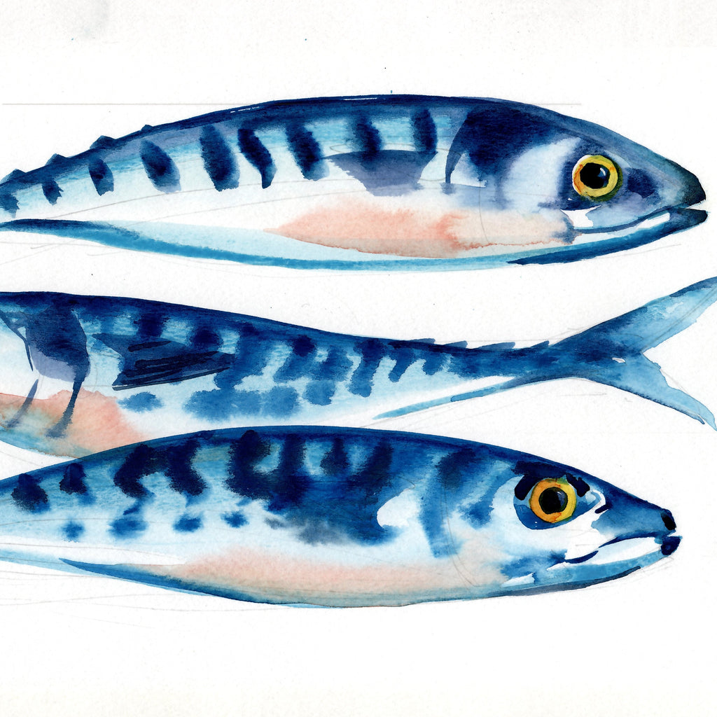 "Three Mackerel" Print