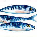 "Three Mackerel" Print