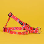 The Tod Step-In Harness