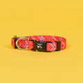 The Tod Dog Collar
