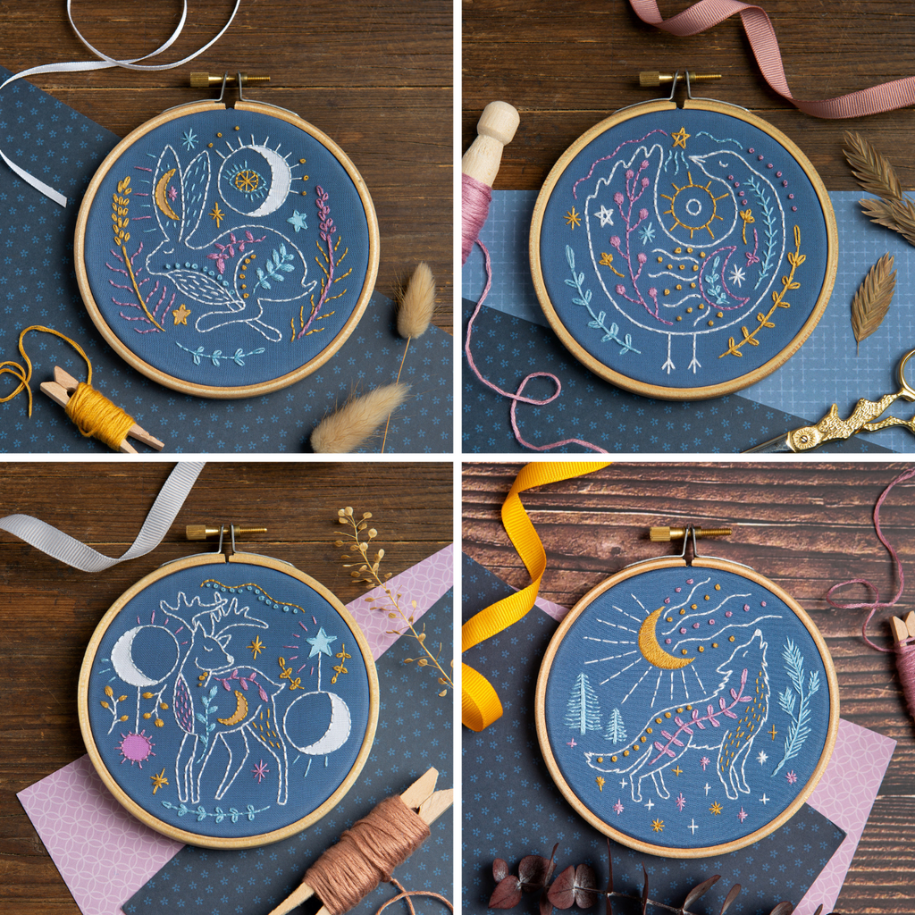 Celestial Frog Mini Embroidery Kit for Beginners