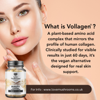 Beauty – Hydrating Tremella Blend Vegan Collagen (60 Capsules)