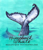 Humpback Whale  - Cornish Sea Life series -  Giclée Print