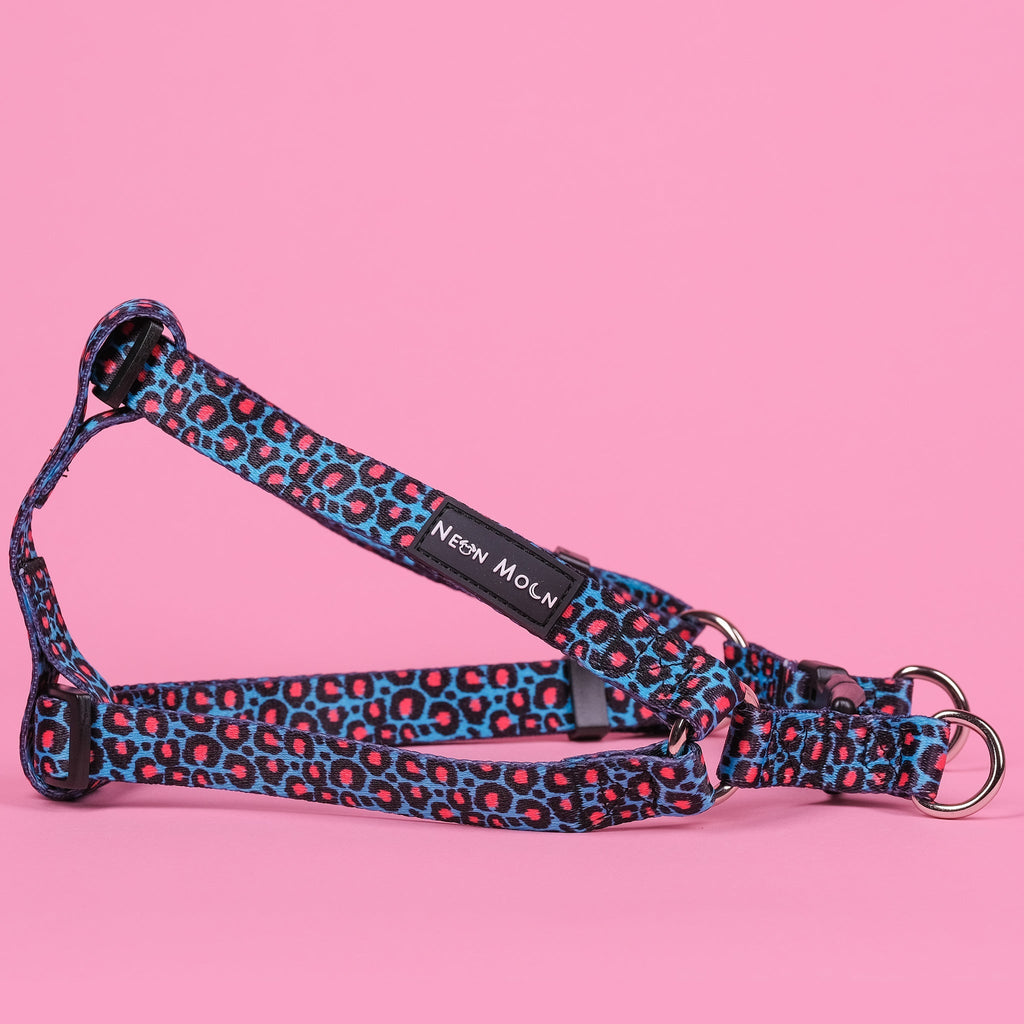 The Willow Step-In Harness