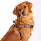 The Willow Step-In Harness