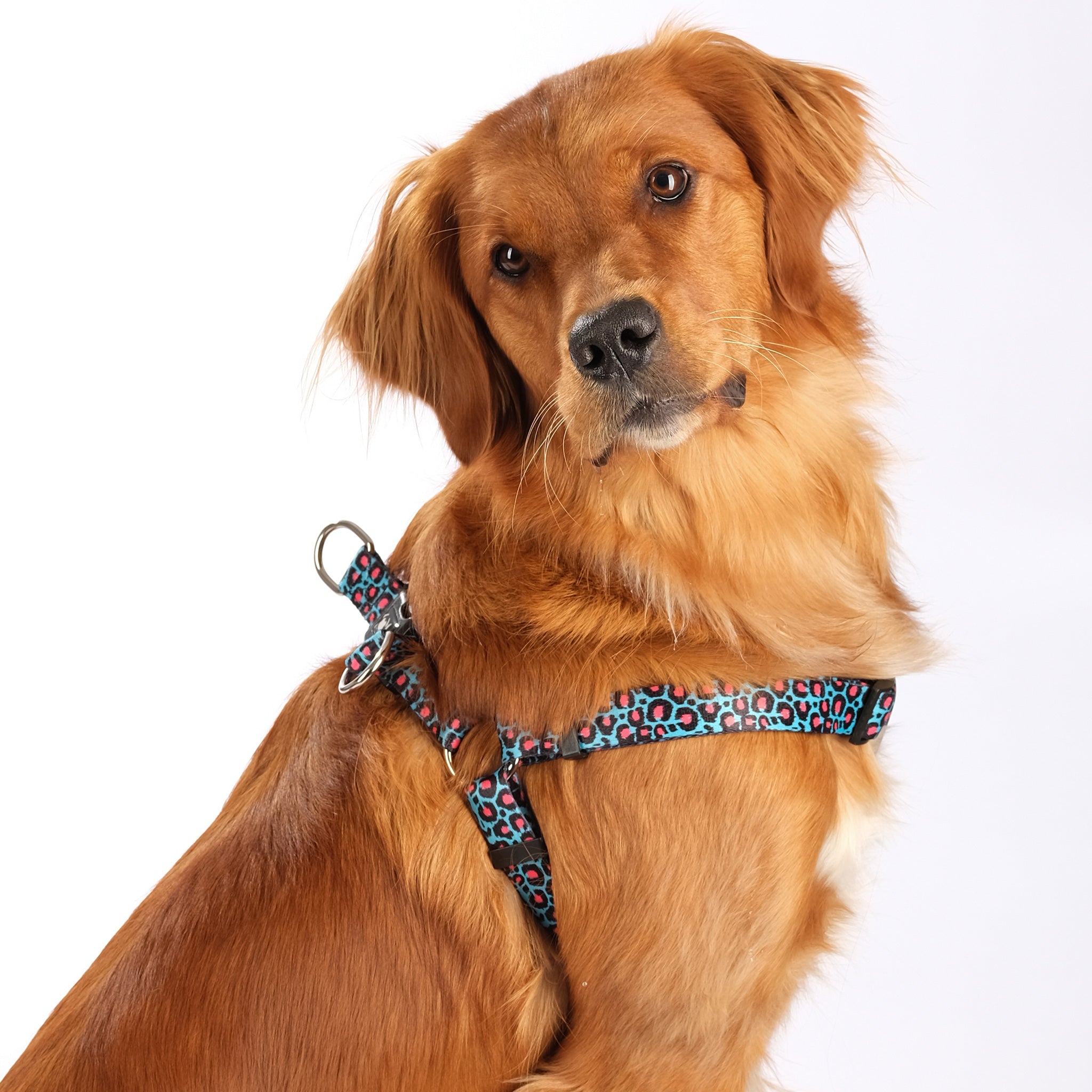 The Willow Step-In Harness