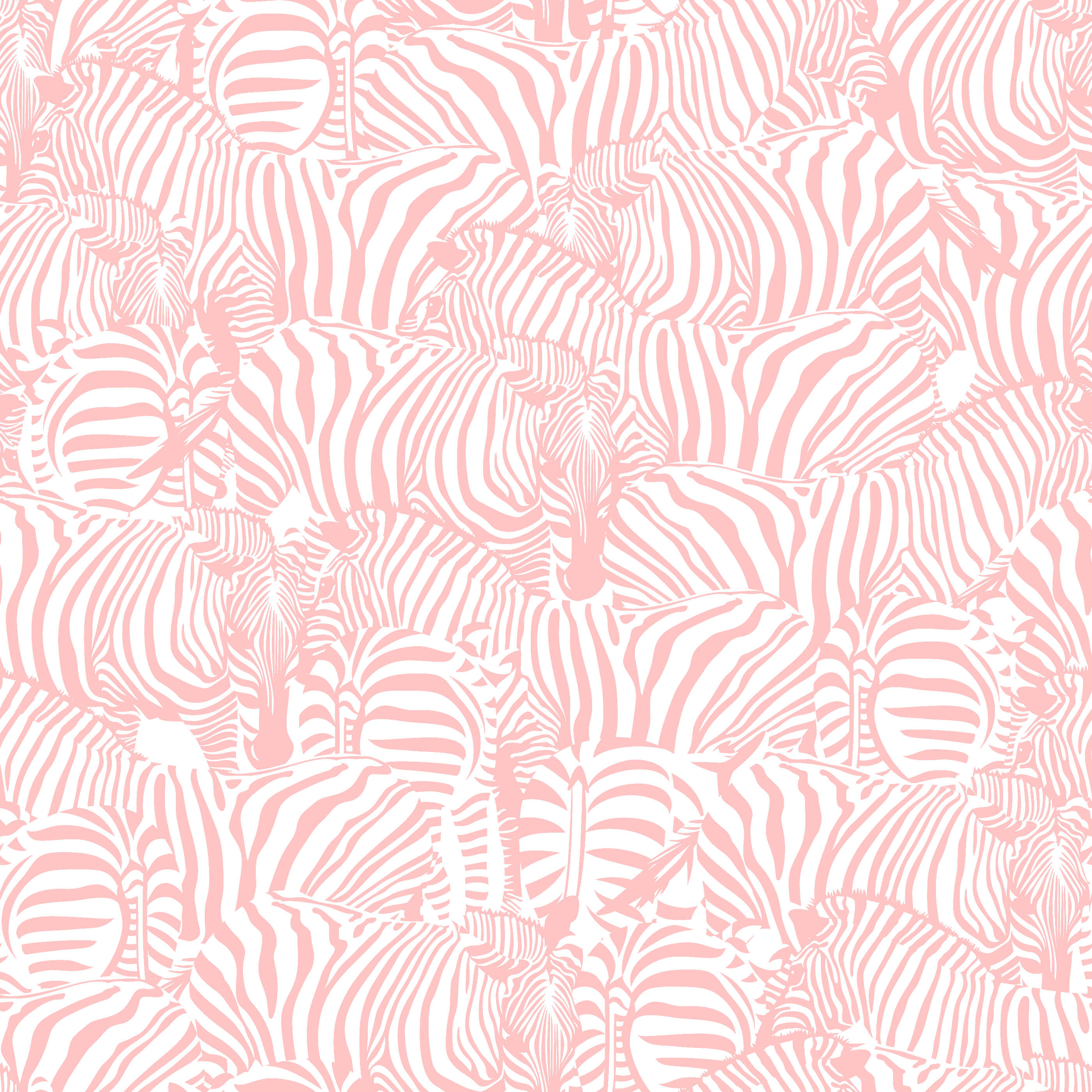 Zolta