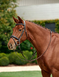 Dublin Padded Mono Crown Flash Bridle