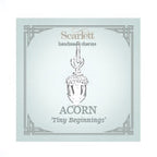 Tiny Acorn Silver Charm