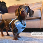 Adjustable Harness - Pastel Blue