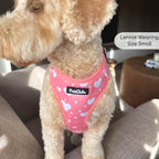 Adjustable Harness - Peachy Hearts