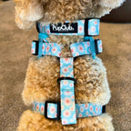 Collar - Pastel Daisy