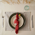 Organic Cotton Napkins - Set of 4