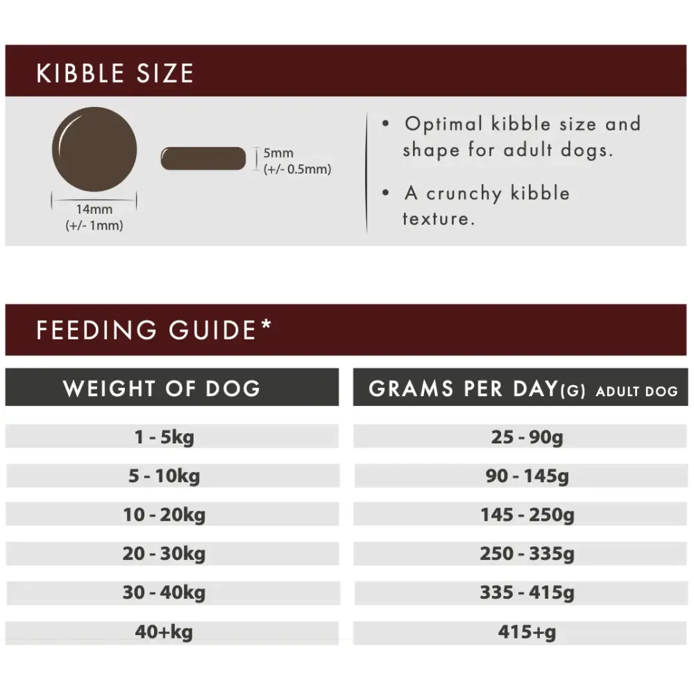 Grain Free Dog Food – Premium Angus Beef Recipe for All Life Stages by The Pets Larder (aflora-angus-beef-grain-free-dog-food)