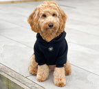 Dog Hoodie - Black