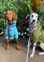 Dog Hoodie - Grey