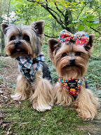 Tealing Smart Dog Harness (XXS & XS)