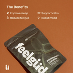 Calm + Focus Bundle