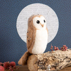 Barn Owl Bird Needle Felting Kit for Beginners