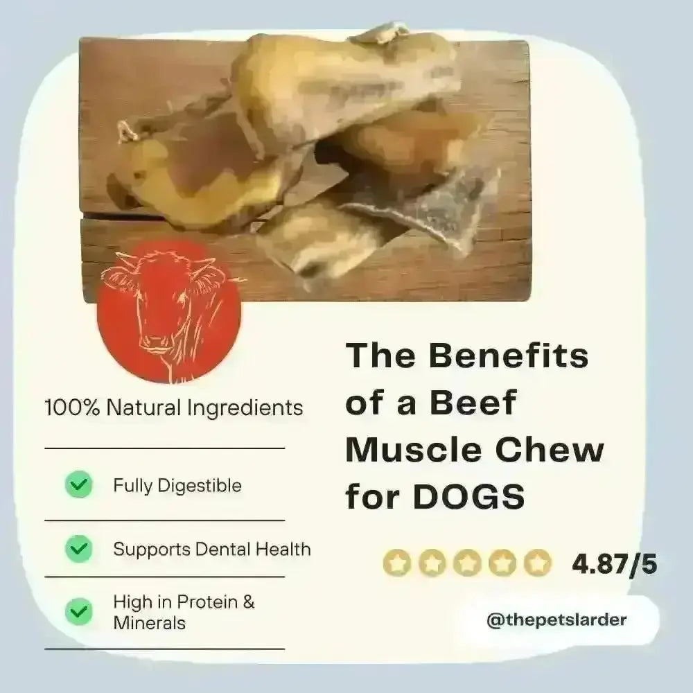 Air-Dried Beef Muscle Chew for Dogs