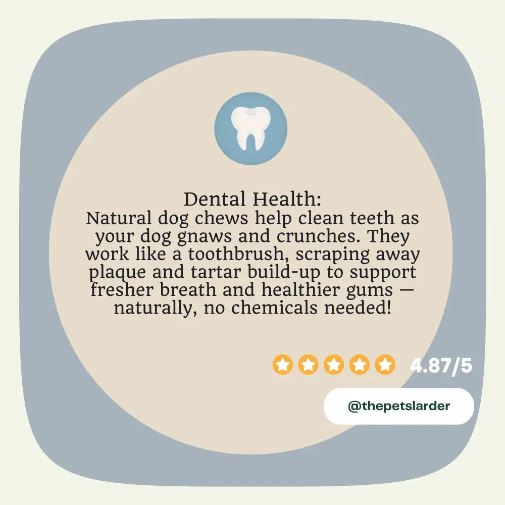 Beef Dog Chews – Natural Training Treats with Probiotics by The Pets Larder (beef-tripe-chew-natural-meat-chew-for-dogs)