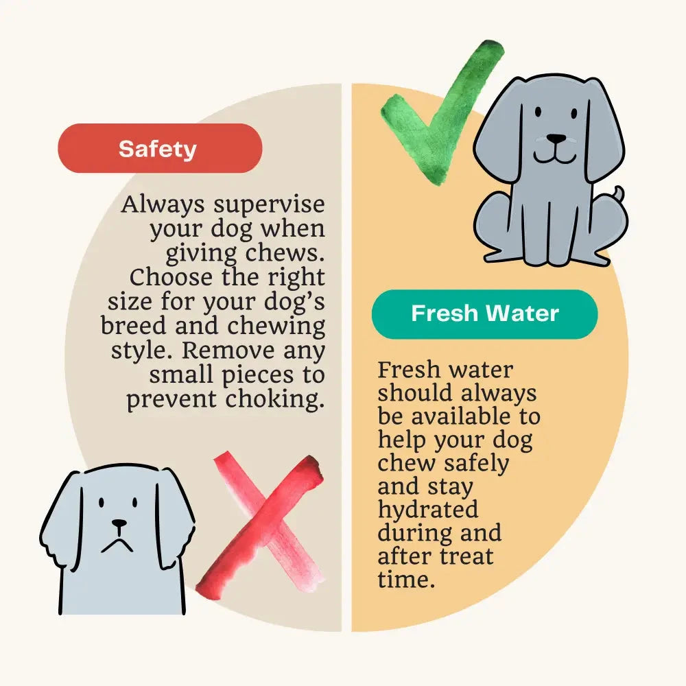 Beef Dog Chews – Natural Training Treats with Probiotics by The Pets Larder (beef-tripe-chew-natural-meat-chew-for-dogs)