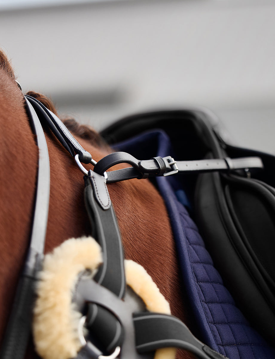 Dublin 5-Point Event Breastplate