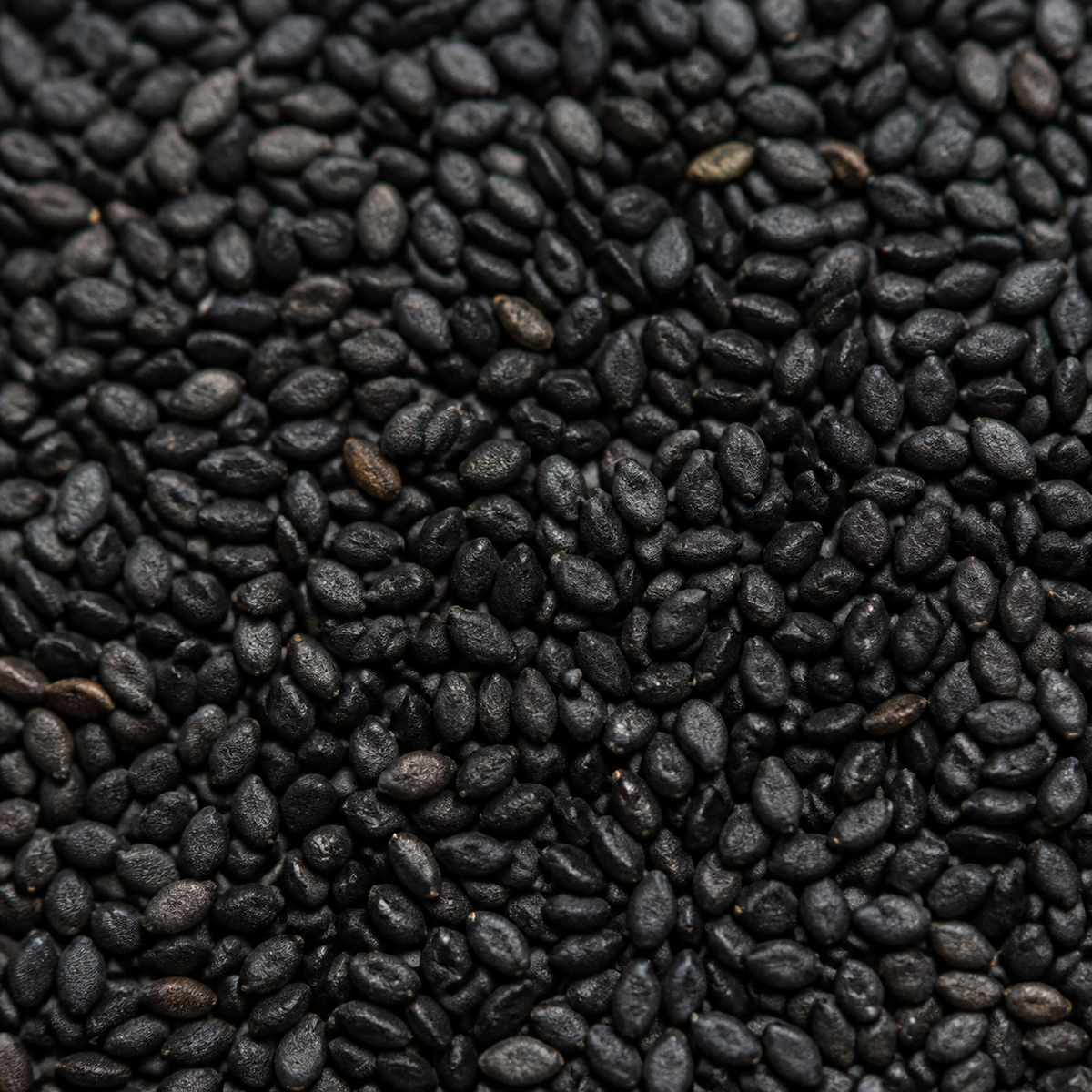 Infinity Foods Bulk Organic Black Sesame Seeds