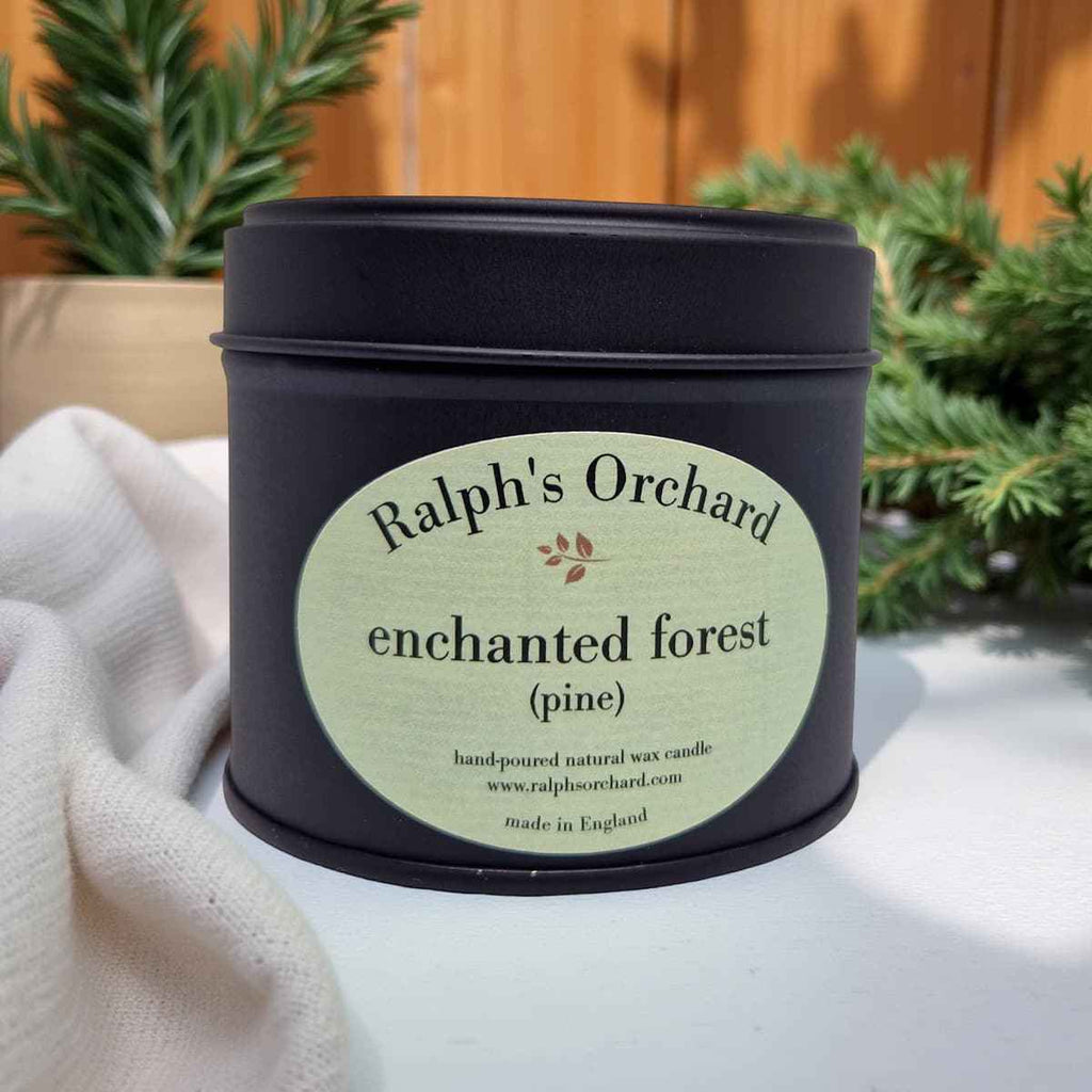 Enchanted Forest (Pine)