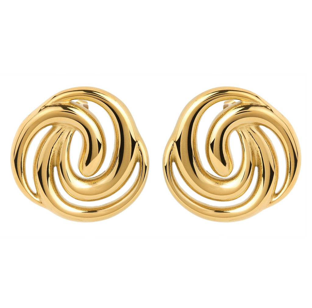 Vintage Brooch Earrings