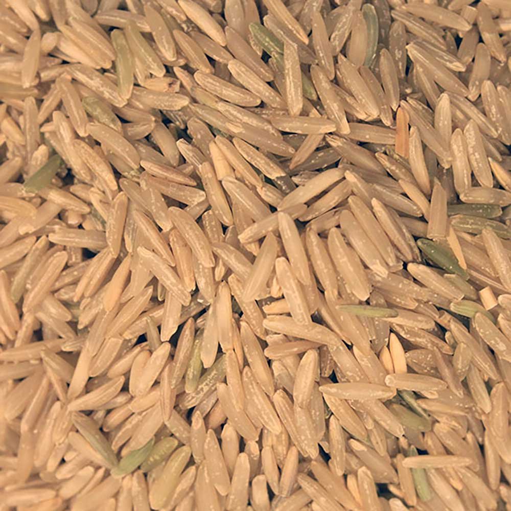Infinity Foods Bulk Organic Brown Basmati Rice