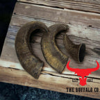Buffalo Horn-Large (6-8 inch)-Dog Treats