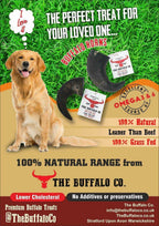 Buffalo Horn-Large (6-8 inch)-Dog Treats