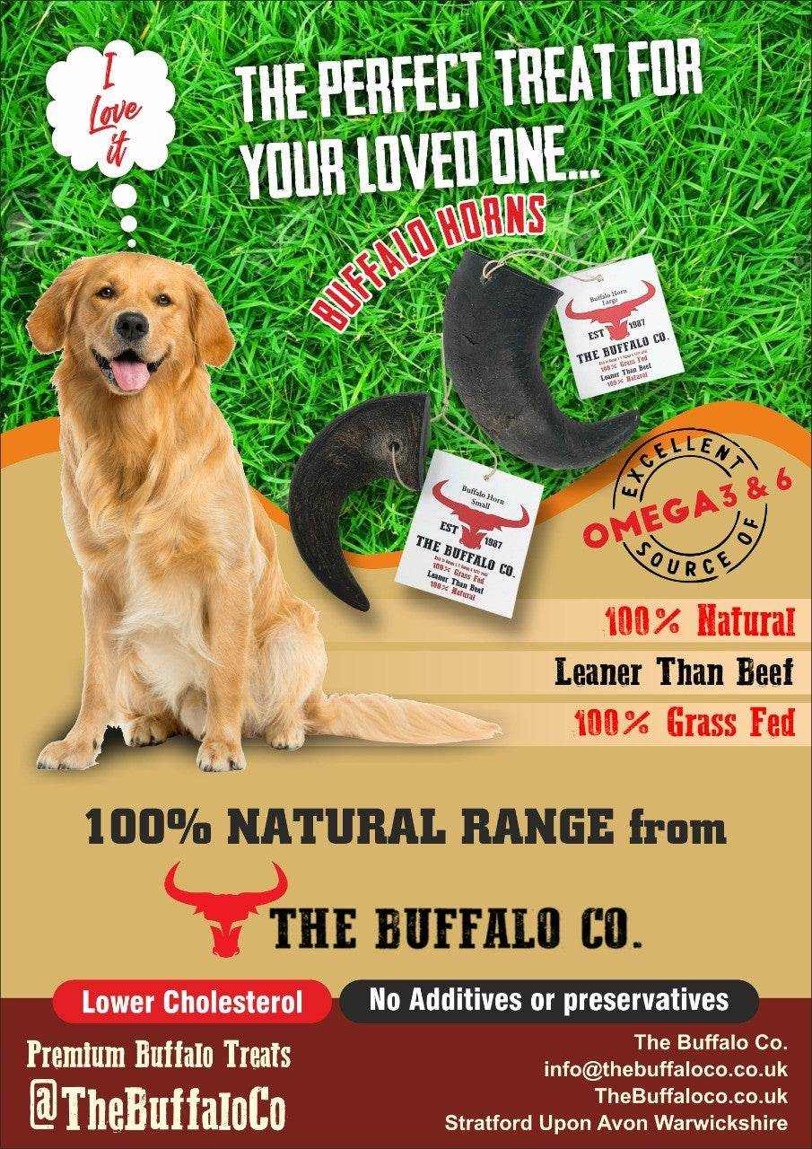 Buffalo Horn-Large (6-8 inch)-Dog Treats